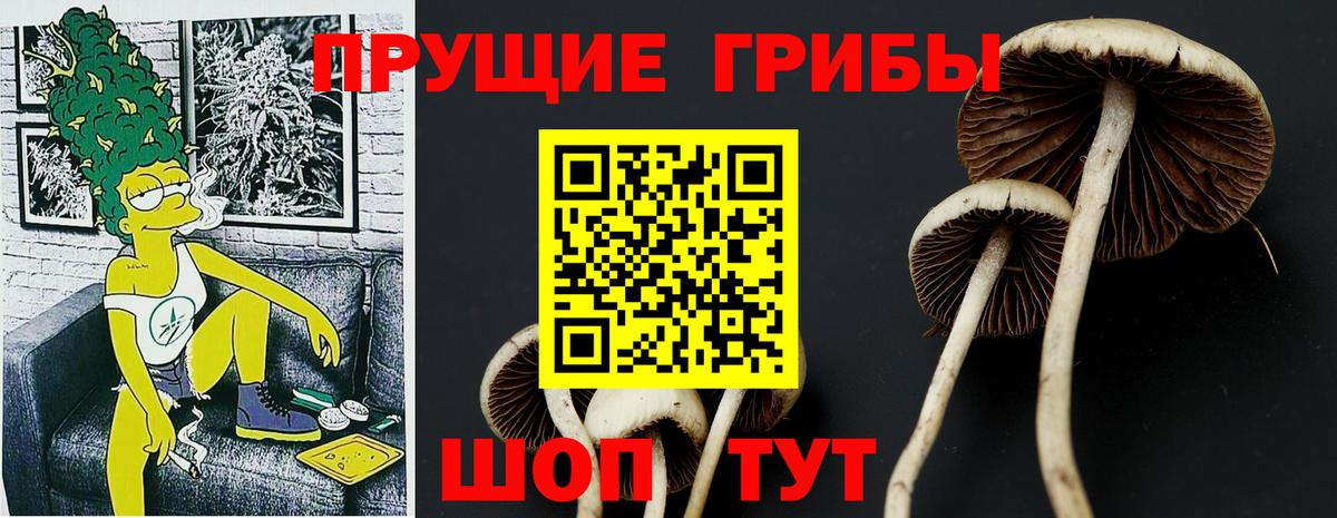 Верхний Уфалей  Галлюциногенные грибы мицелий  Вход с VPN 